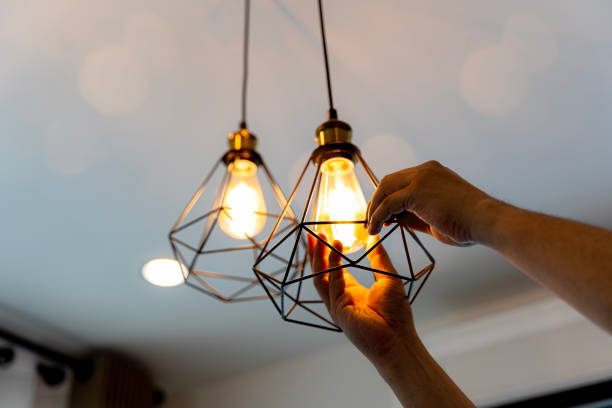 Best Licensed Electrician  in Salmon, ID
